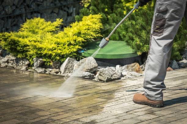 Professional Pressure Washing in Langley Park, MD